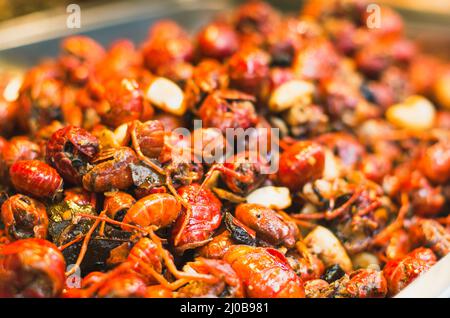 Petit homard ou écrevisse en chine Banque D'Images