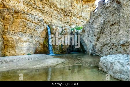 Tamerza oasis de Jerid et porte du Sahara tunisien, Tozeur est également l'une des destinations touristiques les plus populaires en Afrique du Nord Banque D'Images
