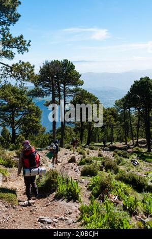 Les randonneurs avec sacs à dos Trekking vers le bas de la montagne ayant vue sur valley Tajumulco et ciel bleu Banque D'Images