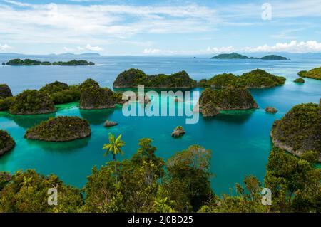 De nombreuses petites îles vertes appartenant à Fam Île de la mer de Raja Ampat, Papouasie Nouvelle Guinée Banque D'Images