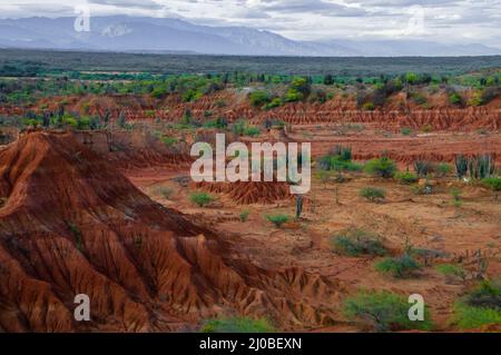 Big Red Sand Stone Hill dans le désert tatacoa chaud et sec avec des plantes, d'Huila Banque D'Images