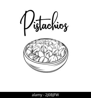 Pistaches vectorielles dessinées à la main pour le modèle d'étiquette, d'emballage et d'emblème de la conception du marché agricole. Illustration de Vecteur