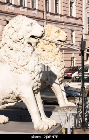 Les Lions sur le pont Lion à Saint-Pétersbourg Banque D'Images