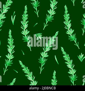 Motif Rosemary sans coutures. Illustration aquarelle vintage. Isolé sur un fond vert. Pour votre conception. Convient aux livres de cuisine et aux recettes. Banque D'Images