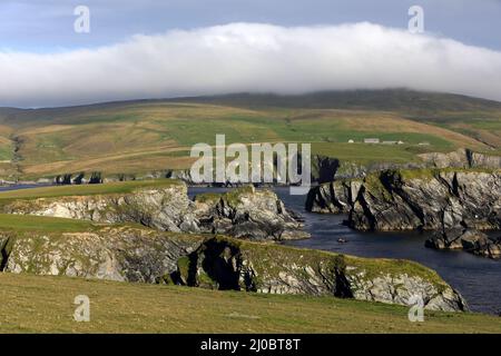 Côte de falaise du sud du continent, îles Shetland, Écosse Banque D'Images