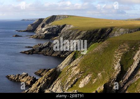 Côte de falaise du sud du continent, îles Shetland, Écosse Banque D'Images