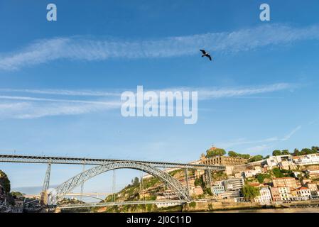 Vue sur Porto Ribeira et du fleuve Douro, à Porto, Portugal Banque D'Images