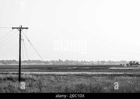 Champ brumeux. Banque D'Images