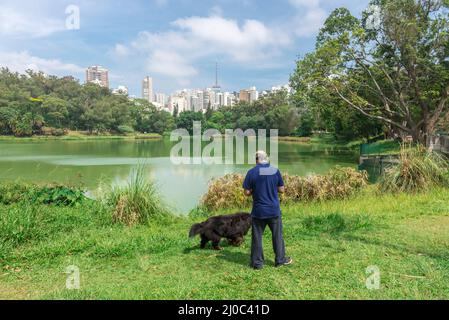 Homme et chien appréciant le parc Aclimacao à Sao Paulo Banque D'Images