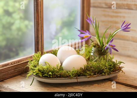 Décoration de Pâques rurale avec œufs blancs, fleurs de crocus et mousse disposés sur une assiette sur une table rustique en bois à la fenêtre, espace de copie, foyers sélectionnés Banque D'Images