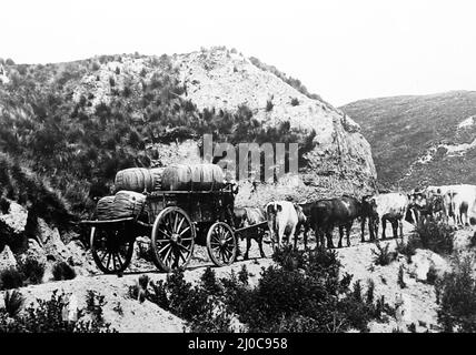 Transport de laine de la gare de Sheep à la gare ferroviaire pour exportation, Australie, période victorienne Banque D'Images