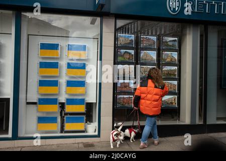 Glasgow, Royaume-Uni. 18 mars 2022. Les agents immobiliers du cityÕs West End montrent leur soutien à l'Ukraine alors qu'elle est envahie par la Russie, en affichant des drapeaux ukrainiens dans leurs fenêtres au lieu de listes de maisons, à Glasgow, au Royaume-Uni. 18 mars 2022. Crédit photo : Jeremy Sutton-Hibbert/Alay Live News. Banque D'Images