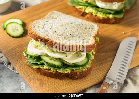 Sandwich maison à la Déesse verte saine avec avocat Mozarella et concombres Banque D'Images