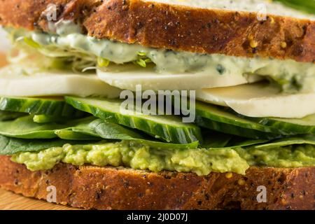 Sandwich maison à la Déesse verte saine avec avocat Mozarella et concombres Banque D'Images
