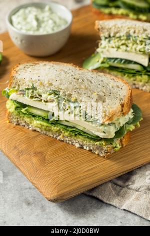 Sandwich maison à la Déesse verte saine avec avocat Mozarella et concombres Banque D'Images