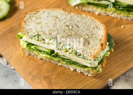 Sandwich maison à la Déesse verte saine avec avocat Mozarella et concombres Banque D'Images