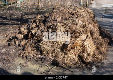 Une grande pile de fumier de cheval frais - une livraison d'engrais naturel à l'entrée d'un site de jardin d'allotement au Royaume-Uni. Banque D'Images