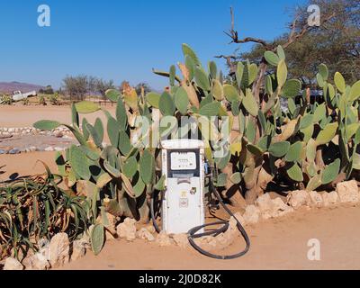 Pompe à gaz d'époque près des cactus dans la ville de Solitaire, dans le désert de Namib, en Namibie Banque D'Images