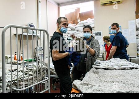 Zaporizhzhia, Ukraine. 18th mars 2022. Les membres du personnel ont placé un enfant sur la civière à l'hôpital clinique régional pour enfants de Zaporizhzhia, où les enfants qui ont subi de graves blessures lors des bombardements des troupes russes sont traités, Zaporizhzhia, dans le sud-est de l'Ukraine. 18 mars 2022. Photo de Dmytro Smolyenko/Ukrinfrom/ABACAPRESS. Credit: Abaca Press/Alay Live News Banque D'Images