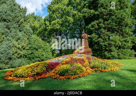 Lac de Constance - Mainau. Banque D'Images