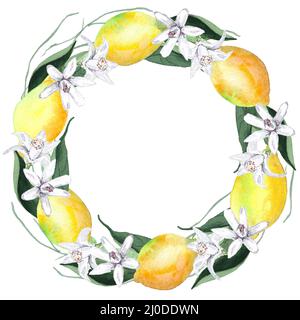 Illustration de couronne de citron aquarelle isolée sur blanc Banque D'Images