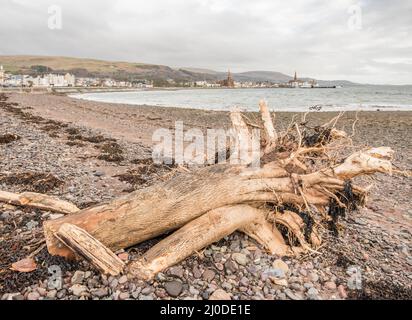 Le rivage à Largs, une ville sur le Firth de Clyde dans le nord Ayrshire, Écosse. La ville se vend sur ses liens historiques avec les Vikings Banque D'Images