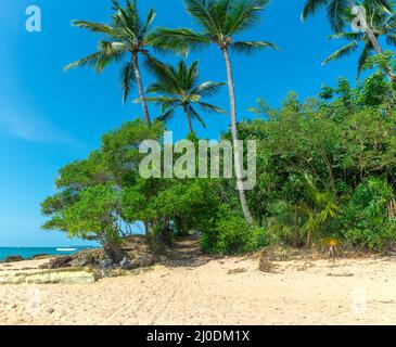 Promenade de sable à la plage de barra grande au Brésil Banque D'Images