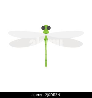 Jolies libellules avec ligne pointillée. Fling vert libellule Illustration de Vecteur