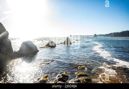 Toleak point regardant vers le nord - Washington Olympic Coast et Marine Sanctuary. Banque D'Images