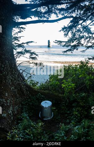 Toilettes avec vue, Toleak point, bande côtière du parc national olympique, Washington, États-Unis. Banque D'Images