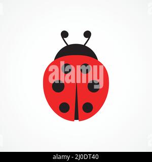 Coccinelle mignon personnage. Insecte Ladybird. Vecteur isolé sur blanc Illustration de Vecteur