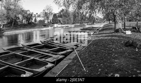 Image en noir et blanc d'une rangée de punts amarrés sur la rivière Cam à Jesus Green, Cambridge Banque D'Images