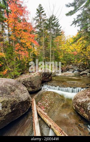 Ruisseau Phelps en automne, le long de la piste Van Hoevenberg, Adirondack Park, comté d'Essex, New York Banque D'Images