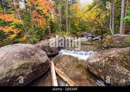 Ruisseau Phelps en automne le long du sentier Van Hoevenberg Adirondack Park, comté d'Essex, New York Banque D'Images