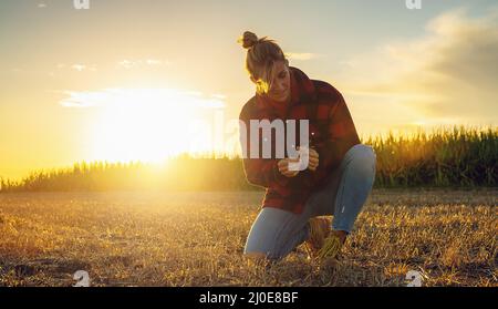 l'agriculteur vérifie la qualité du sol avant de semer sur son champ. la femme cultivateur dans le champ tient la terre entre ses mains. l'agronome vérifie la qualité du semis Banque D'Images