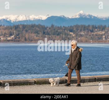 Femme âgée marchant avec un chien dans le parc. Photo de rue, espace de texte, attention sélective-mars 8,2021-Vancouver C.-B., Canada Banque D'Images
