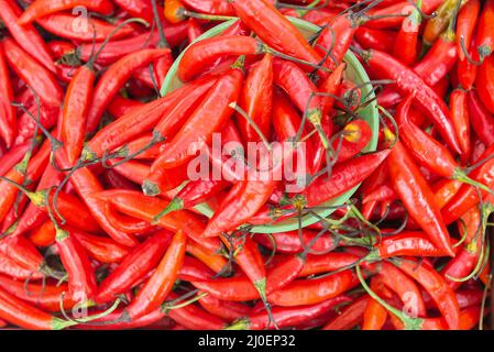 Poivre de Chili frais et mûr, tartiner dans tout l'ensemble Banque D'Images