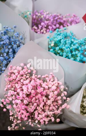 Fleurs de Gypsophila de différentes couleurs à vendre dans un fleuriste Banque D'Images