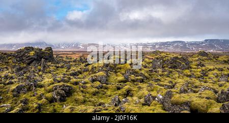 Paysage islandais recouvert de mousse et de roches volcaniques en islande Banque D'Images