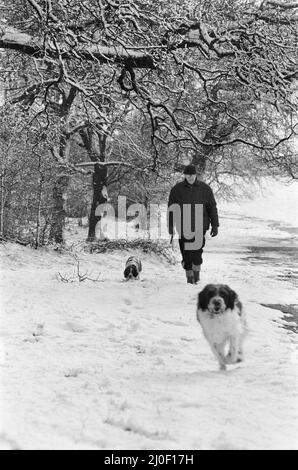 Un temps violent a frappé Birmingham, West Midlands, on Bank Holliday lundi 2nd mai 1979.(photo) Homme marchant son chien dans des conditions enneigées. Banque D'Images