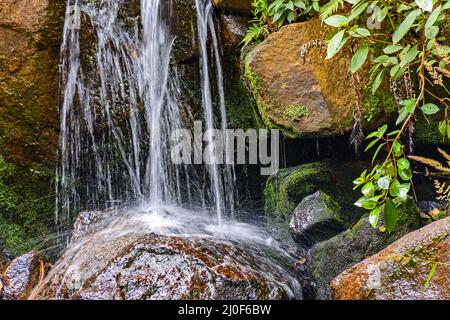 Petite cascade entre des pierres de mousse Banque D'Images