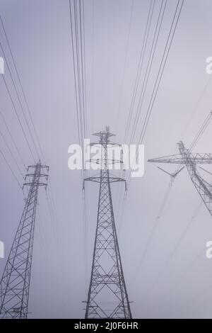 Des pylônes de puissance électrique qui disparaissent dans un portrait épais de brouillard Banque D'Images