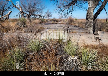 Grenade, Colorado, États-Unis. 18th mars 2022. Le camp d'internement japonais Amache de la Seconde Guerre mondiale dans le sud-est du Colorado est devenu partie du National Park Service, lorsque le président Joe Biden a signé une loi faisant d'Amache un lieu historique national. Plus de 7 000 Japonais et Japonais-Américains ont eu lieu sur le site, l'un des 10 camps d'internement de l'Ouest américain. Bien que tous les bâtiments aient été démolis après la guerre, de nombreuses fondations subsistent. Crédit : Jim West/Alay Live News Banque D'Images