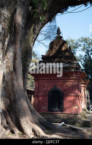 Temple hindou de Pashupatinath dans la ville de Katmandou, Népal Asie Banque D'Images