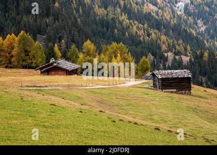 Beaux chalets en bois de montagne vallée de l'Alpe di Siusi sur les Dolomites, Tyrol du Sud en Italie Banque D'Images