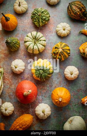 Plusieurs mini-citrouilles colorées placées sur un fond rouillé Banque D'Images