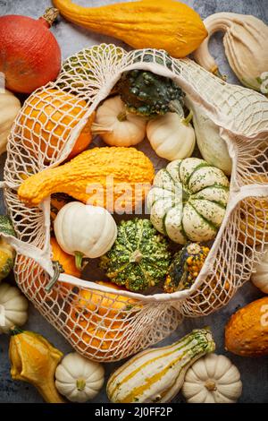 Plusieurs mini-citrouilles colorées dans un sac à provisions à cordes. Jour d'Halloween ou de Thanksgiving Banque D'Images