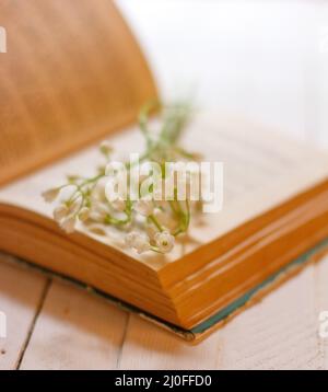 Bouquet de Lily de la vallée fleurit sur un vieux livre ouvert sur une table blanche vintage Banque D'Images