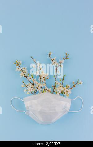 Un bouquet de branches fleuries dans un masque médical sur fond bleu avec un espace de copie, le concep Banque D'Images