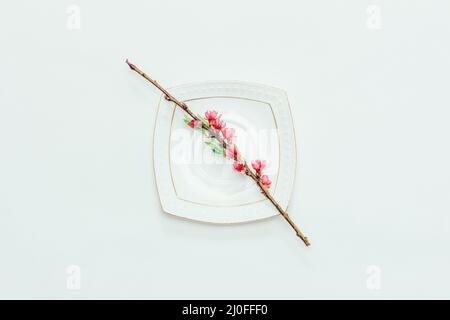 Branche fleurie d'une pêche aux fleurs roses sur une soucoupe blanche sur fond blanc gros plan Banque D'Images